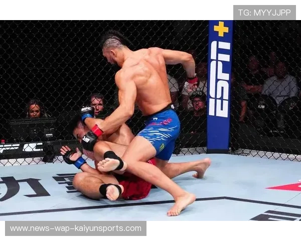 UFC回旋踢击中锁定胜利